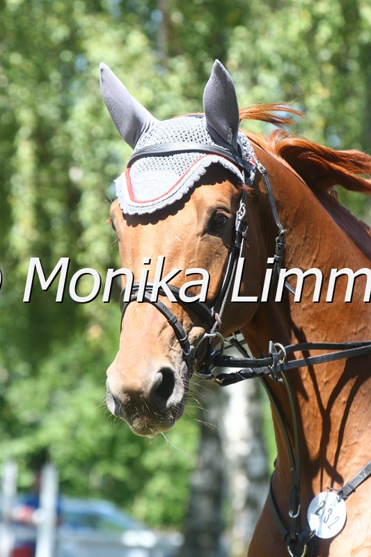 308M2196_Leonidas_Spring Mxx.JPG